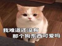 北京护亿康商贸有限公司