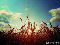 北京护亿康商贸有限公司
