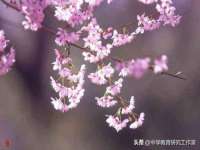 北京护亿康商贸有限公司