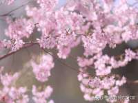 北京护亿康商贸有限公司