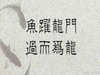北京护亿康商贸有限公司