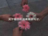北京护亿康商贸有限公司