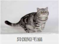 北京护亿康商贸有限公司