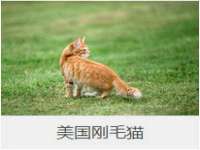 北京护亿康商贸有限公司