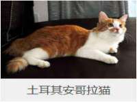 北京护亿康商贸有限公司