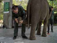 北京护亿康商贸有限公司