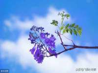 北京护亿康商贸有限公司