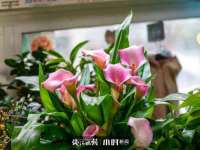 北京护亿康商贸有限公司