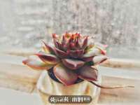 北京护亿康商贸有限公司