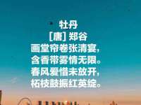 北京护亿康商贸有限公司
