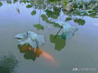 北京护亿康商贸有限公司
