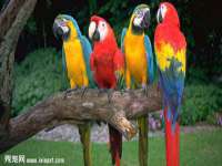 北京护亿康商贸有限公司