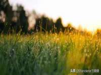 北京护亿康商贸有限公司