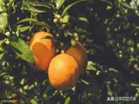 北京护亿康商贸有限公司