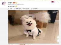 北京护亿康商贸有限公司