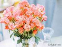 北京护亿康商贸有限公司